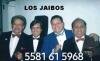 Trio musical en anuncio mx